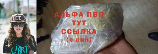ПСИЛОЦИБИНОВЫЕ ГРИБЫ Белокуриха