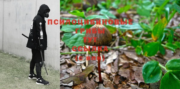 ПСИЛОЦИБИНОВЫЕ ГРИБЫ Белокуриха