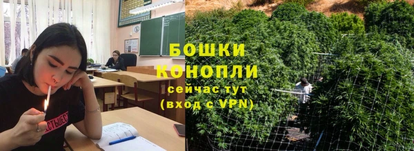 ПСИЛОЦИБИНОВЫЕ ГРИБЫ Белокуриха