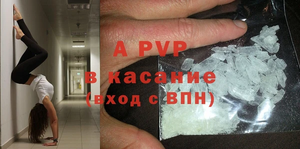 ПСИЛОЦИБИНОВЫЕ ГРИБЫ Белокуриха