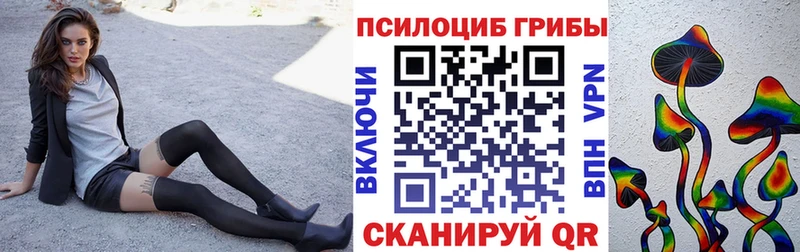 мега ССЫЛКА  Первомайск  Псилоцибиновые грибы Cubensis 